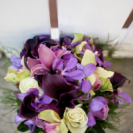 purple calla, green orchid, cymbidium orchid